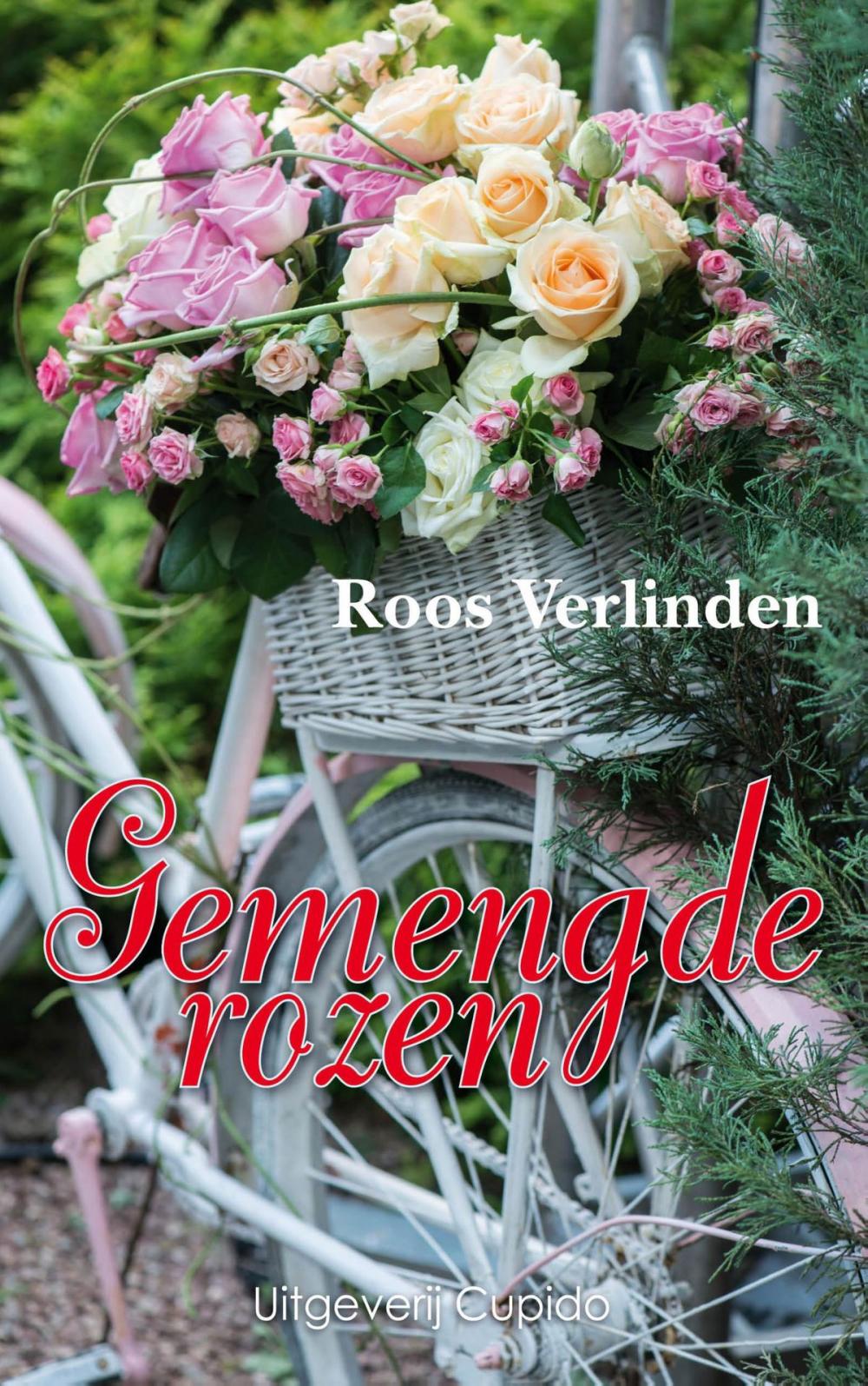 Big bigCover of Gemengde rozen