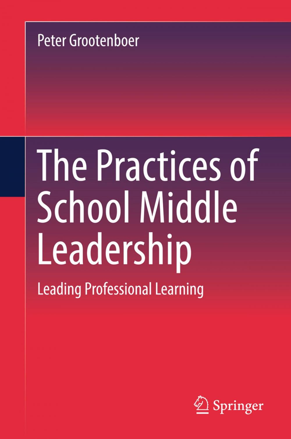 Big bigCover of The Practices of School Middle Leadership