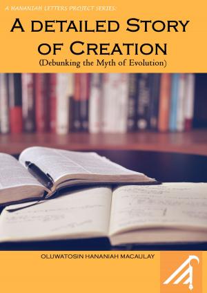 Cover of the book Detailed Story of Creation by Roland Maes
