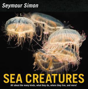 Cover of the book Sea Creatures by Will And Steve Stewart And Flood