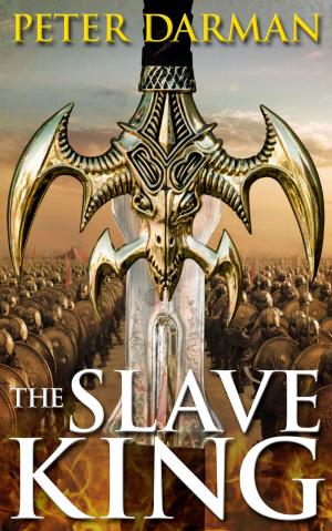 Cover of the book The Slave King by Deb Stover
