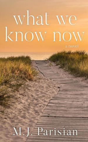 Cover of the book What We Know Now by Ann Mayburn