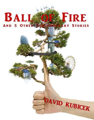 Cover of Ball of Fire and 5 Other Contemporary Stories