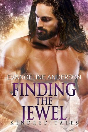 Cover of the book Finding the Jewel by Stacy Kingsley