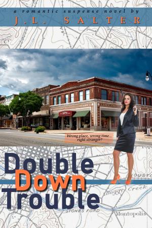 Cover of the book Double Down Trouble by Felicia Rogers