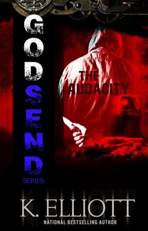 bigCover of the book Godsend 12: The Audacity by 