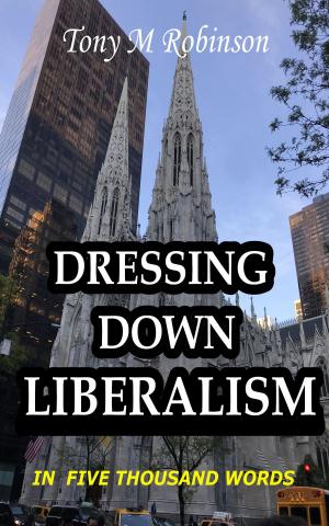Cover of the book Dressing Down Liberalism in Five Thousand Words by Ronald Rehrer