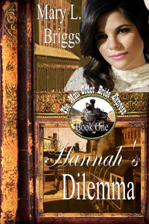 Book cover of Mail Order Bride: Hannah's Dilemma