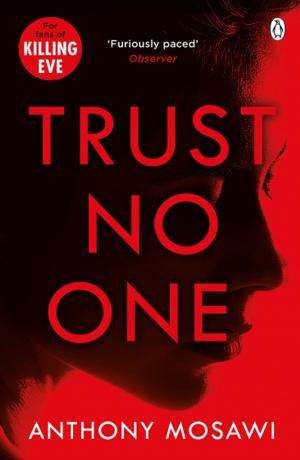 Cover of the book Trust No One by Laurence Fearnley