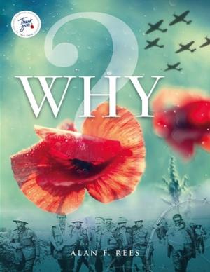 Cover of the book Why by brett brady