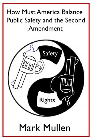 Cover of How Must America Balance Public Safety and the Second Amendment?