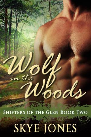 Book cover of Wolf in the Woods