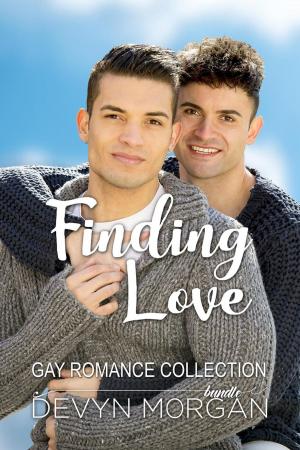 Cover of Finding Love Gay Romance Collection