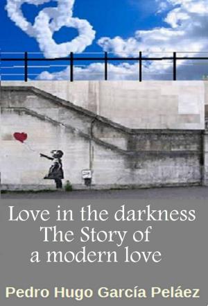 Cover of Love in the Darkness. The Story of a Modern Love.
