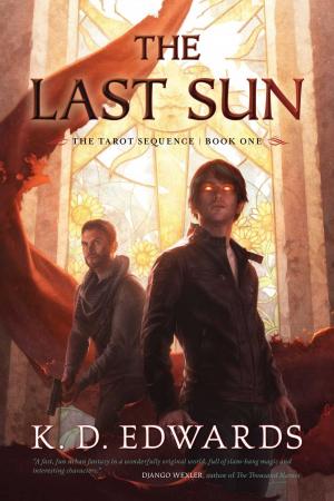Cover of the book The Last Sun by Peter David