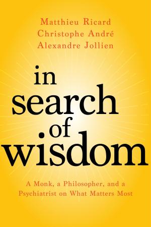 Cover of the book In Search of Wisdom by Tai Morello