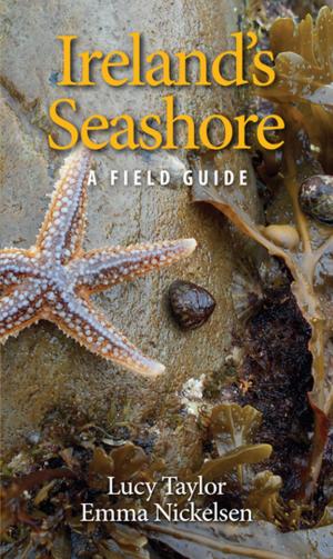 Book cover of Ireland's Seashore