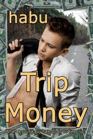 Cover of the book Trip Money by Kassandra Kush