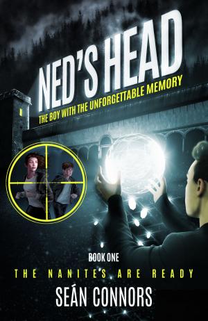 bigCover of the book Ned's Head: The Boy With The Unforgettable Memory by 