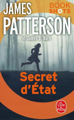 Cover of the book Secret d'état by Chris Kridler