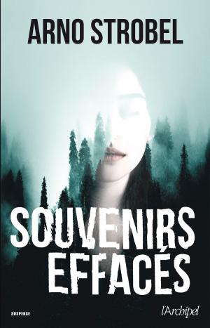 Cover of the book Souvenirs effacés by Valérie Simon