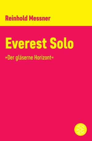 Cover of the book Everest Solo by Siegfried Lichtenstaedter, Götz Aly