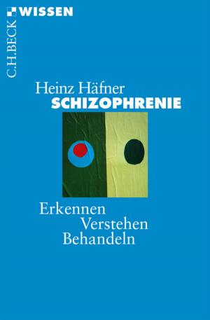 Cover of the book Schizophrenie by Amanda Eliza Bertha