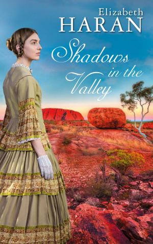 Book cover of Shadows in the Valley