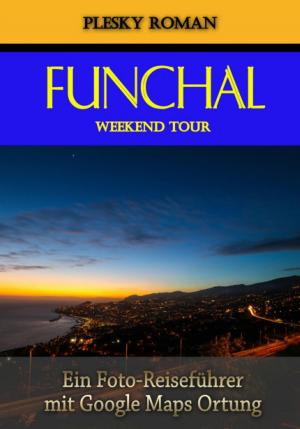 Cover of the book Funchal Weekend Tour by Denise Devillard