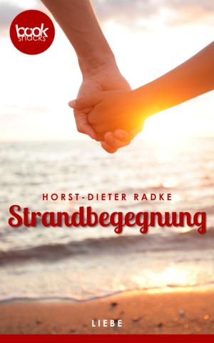 Cover of the book Strandbegegnung (Kurzgeschichte, Liebe) by Volker Dützer
