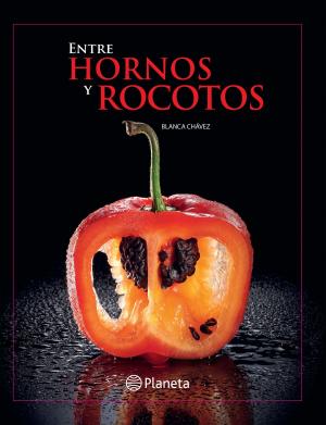 Cover of the book Entre hornos y rocotos by Clara Usón Vegas