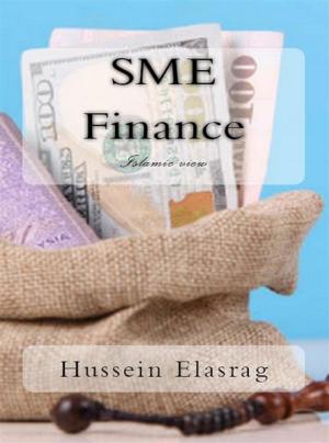 Cover of the book SME Finance by Dutch Menard