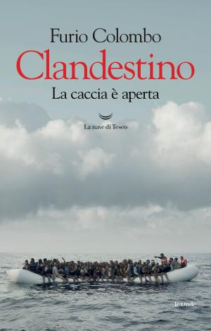 Cover of the book Clandestino by Raphaël Jerusalmy