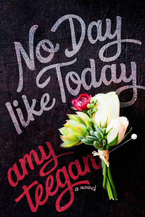 Cover of the book No Day Like Today by Amy Teegan, James Mountain Media