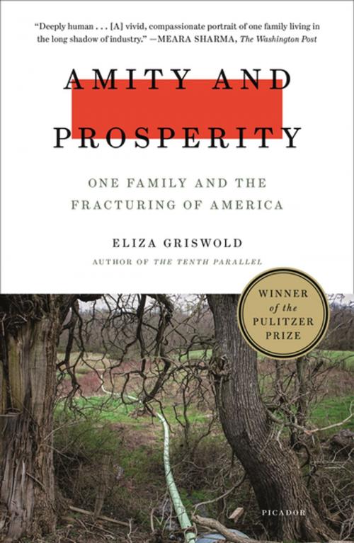 Cover of the book Amity and Prosperity by Eliza Griswold, Farrar, Straus and Giroux