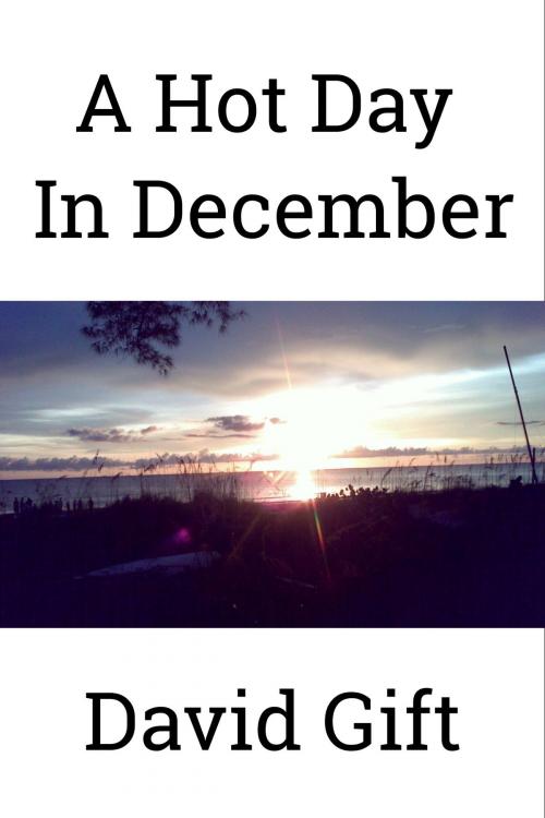 Cover of the book A Hot Day In December by David Gift, David Gift
