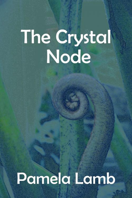 Cover of the book The Crystal Node by Pamela Lamb, Pamela Lamb