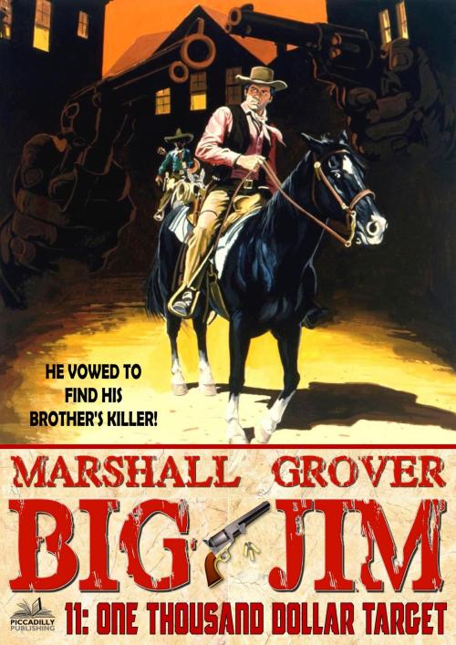 Cover of the book Big Jim 11: One Thousand Dollar Target by Marshall Grover, Piccadilly