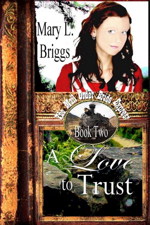 Cover of the book Mail Order Bride: A Love to Trust by Mary L. Briggs, Mary L. Briggs