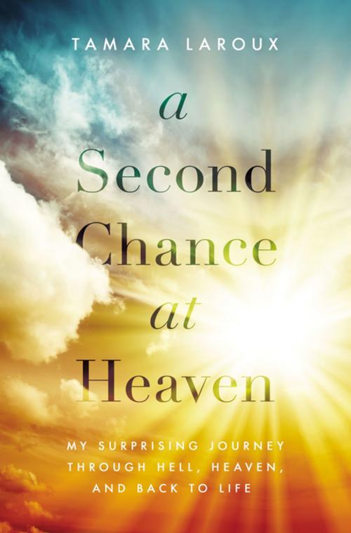 Cover of the book A Second Chance at Heaven by Tamara Laroux, Thomas Nelson