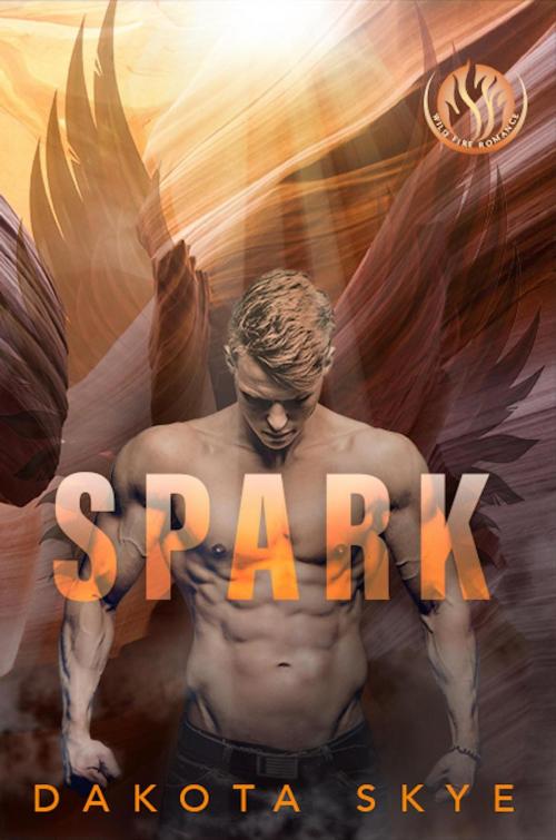 Cover of the book Spark by Dakota Skye, Mountain Moxie Publishing