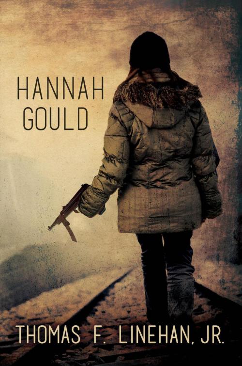 Cover of the book Hannah Gould by Thomas F. Linehan Jr., Black Rose Writing