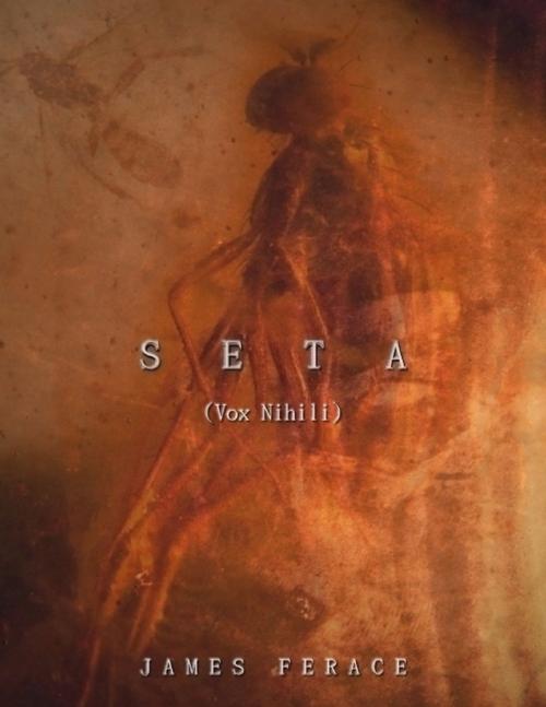 Cover of the book Seta (Vox Nihili) by James Ferace, Lulu.com