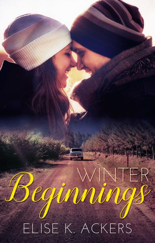 Cover of the book Winter Beginnings by Elise K. Ackers, Escape Publishing