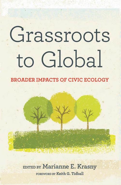 Cover of the book Grassroots to Global by David Maddox, Cornell University Press