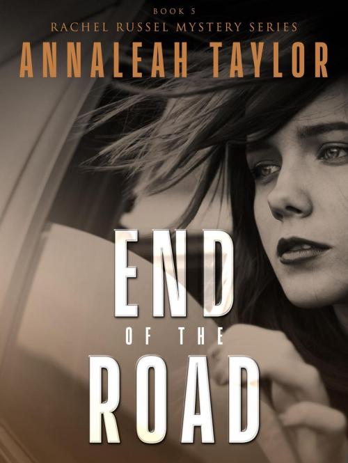 Cover of the book End of the Road by Annaleah Taylor, Imaginarium Press Publishing