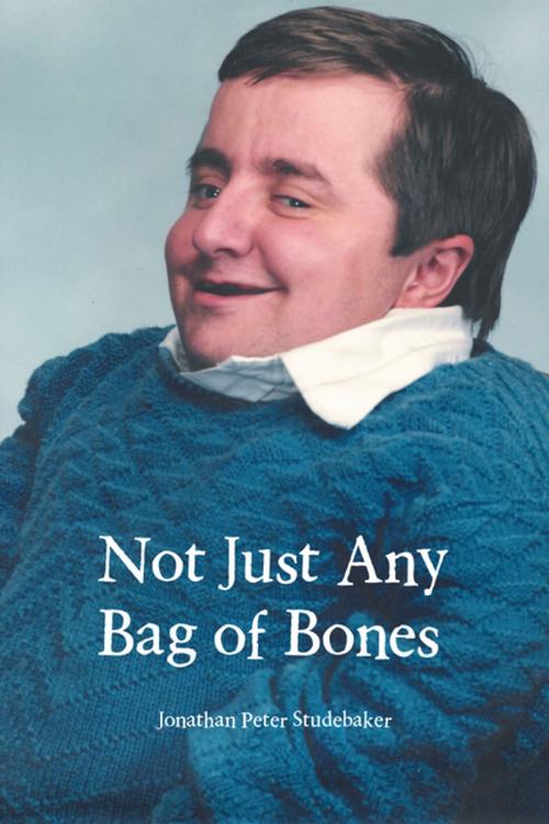 Cover of the book Not Just Any Bag of Bones by Jonathan Peter Studebaker, AuthorHouse
