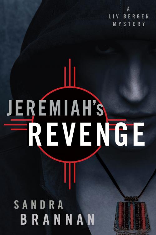 Cover of the book Jeremiah's Revenge by Sandra Brannan, River Grove Books
