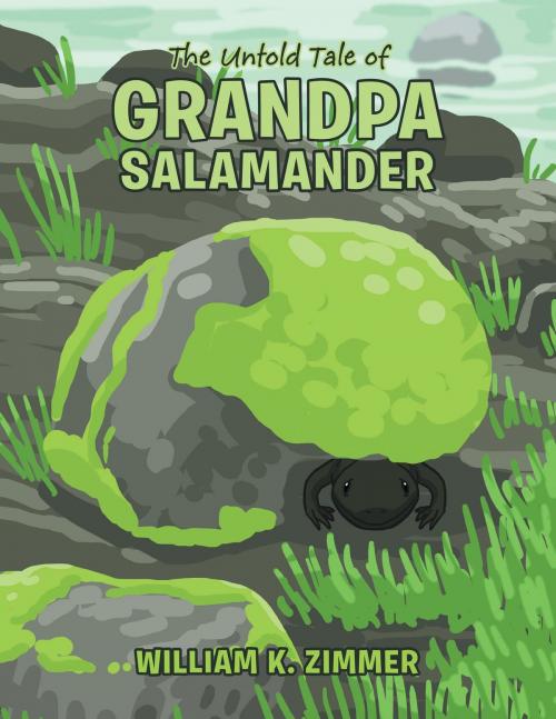 Cover of the book The Untold Tale of Grandpa Salamander by William  K. Zimmer, AuthorCentrix, Inc.