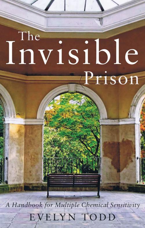 Cover of the book The Invisible Prison by Evelyn Todd, Troubador Publishing Ltd